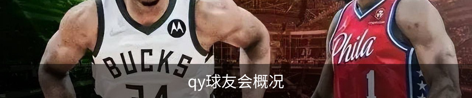 qy球友会概况